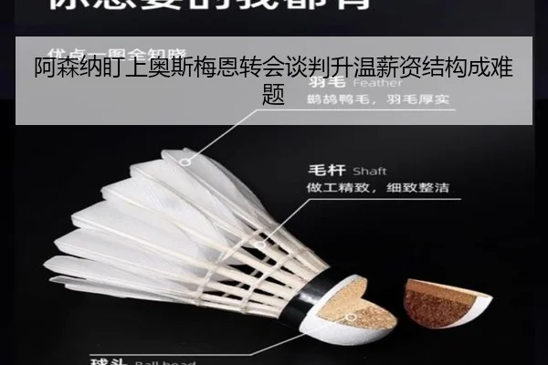 阿森纳盯上奥斯梅恩转会谈判升温薪资结构成难题
